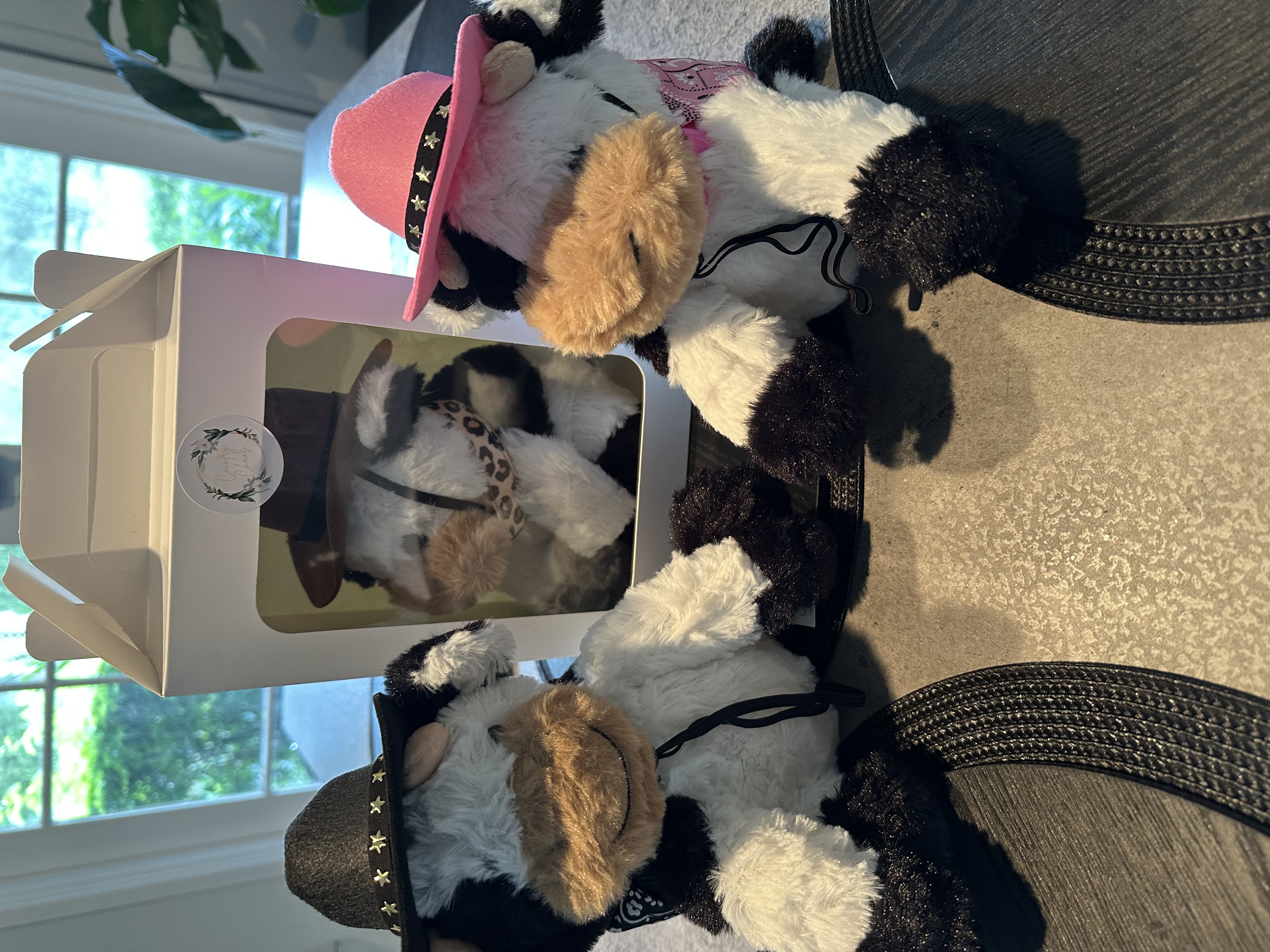 Country Chaos KIds Stuffed Animals 