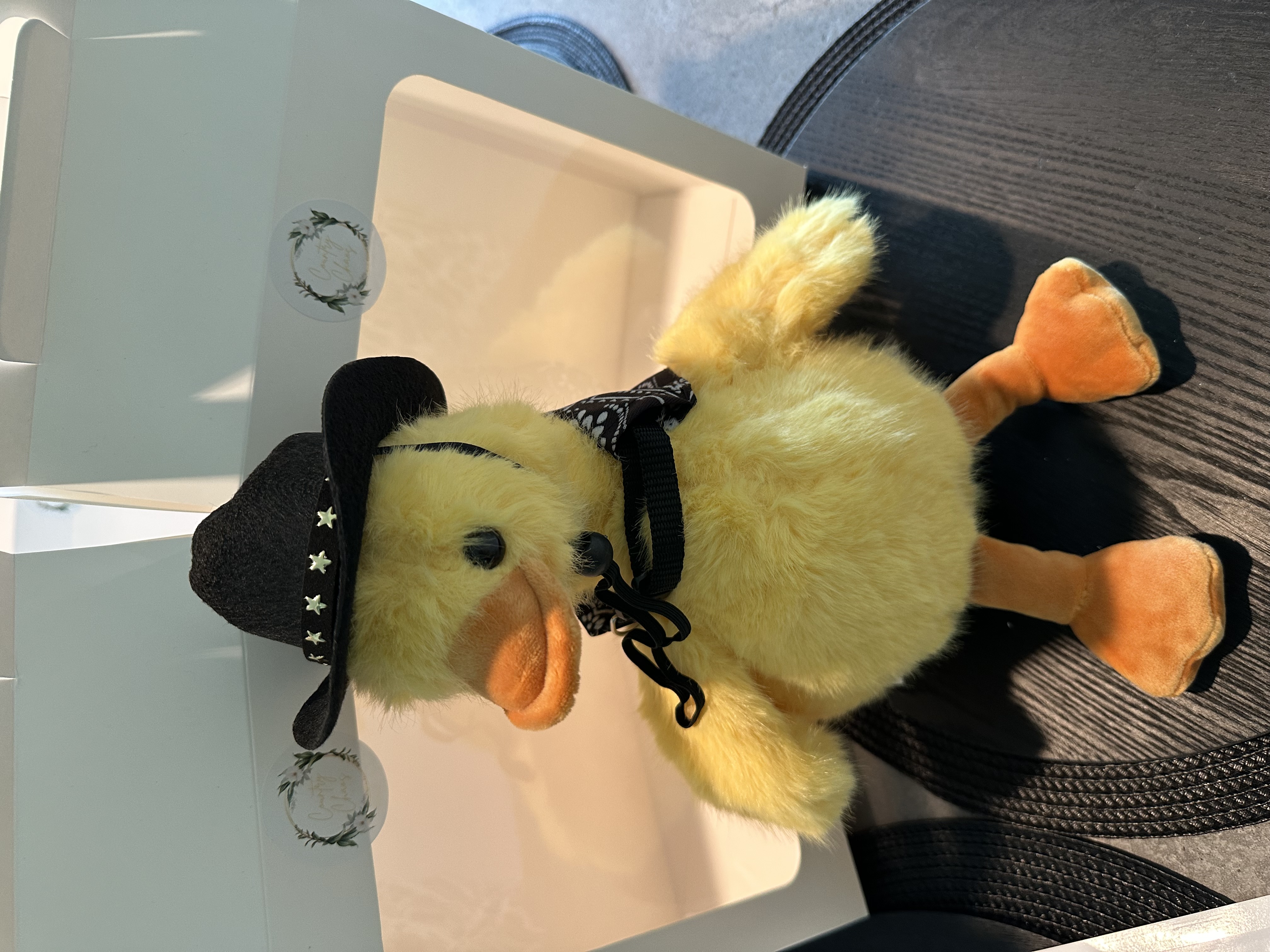 Country Chaos Stuffed Animals 