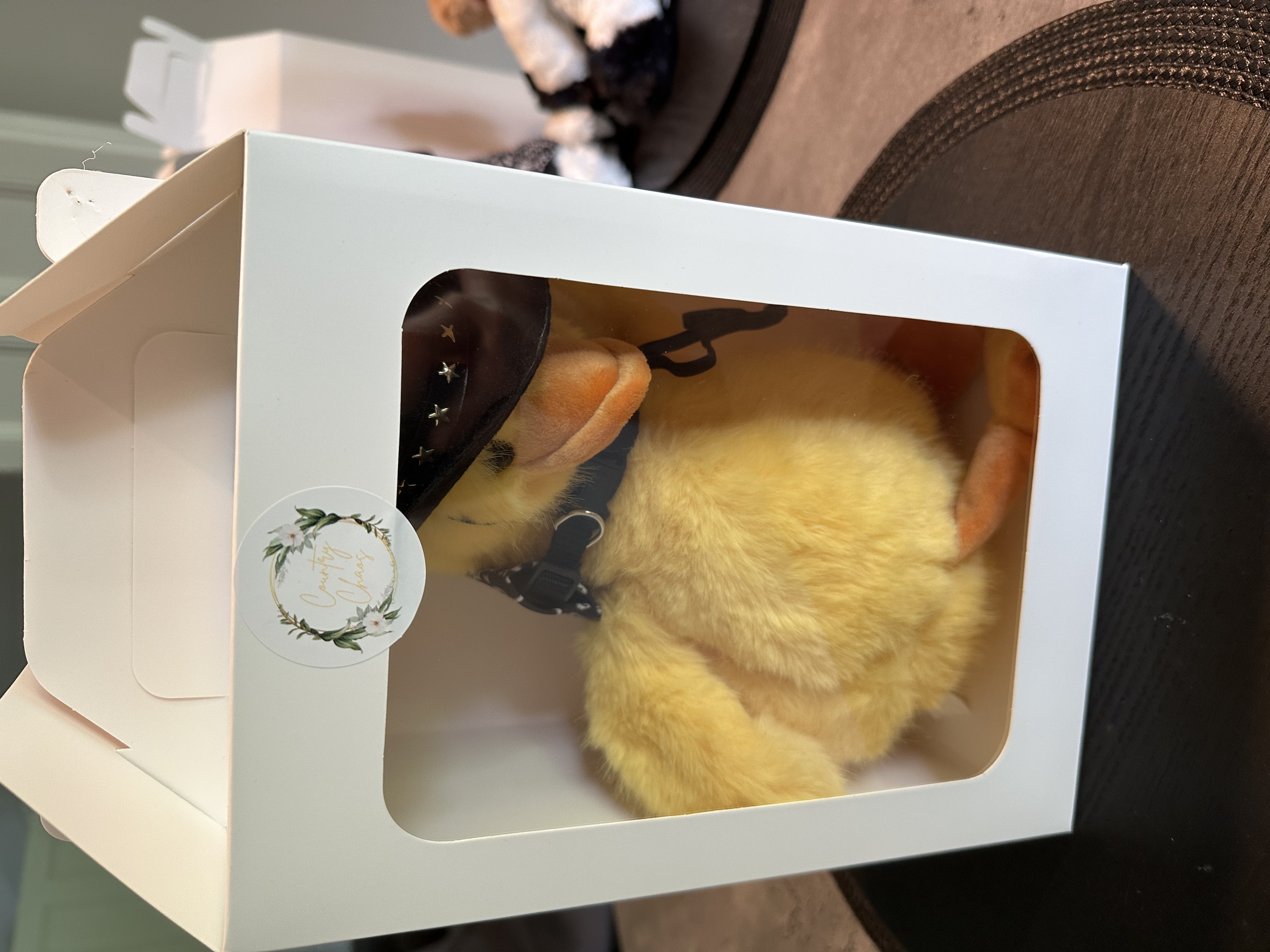 Country Chaos Stuffed Animals 