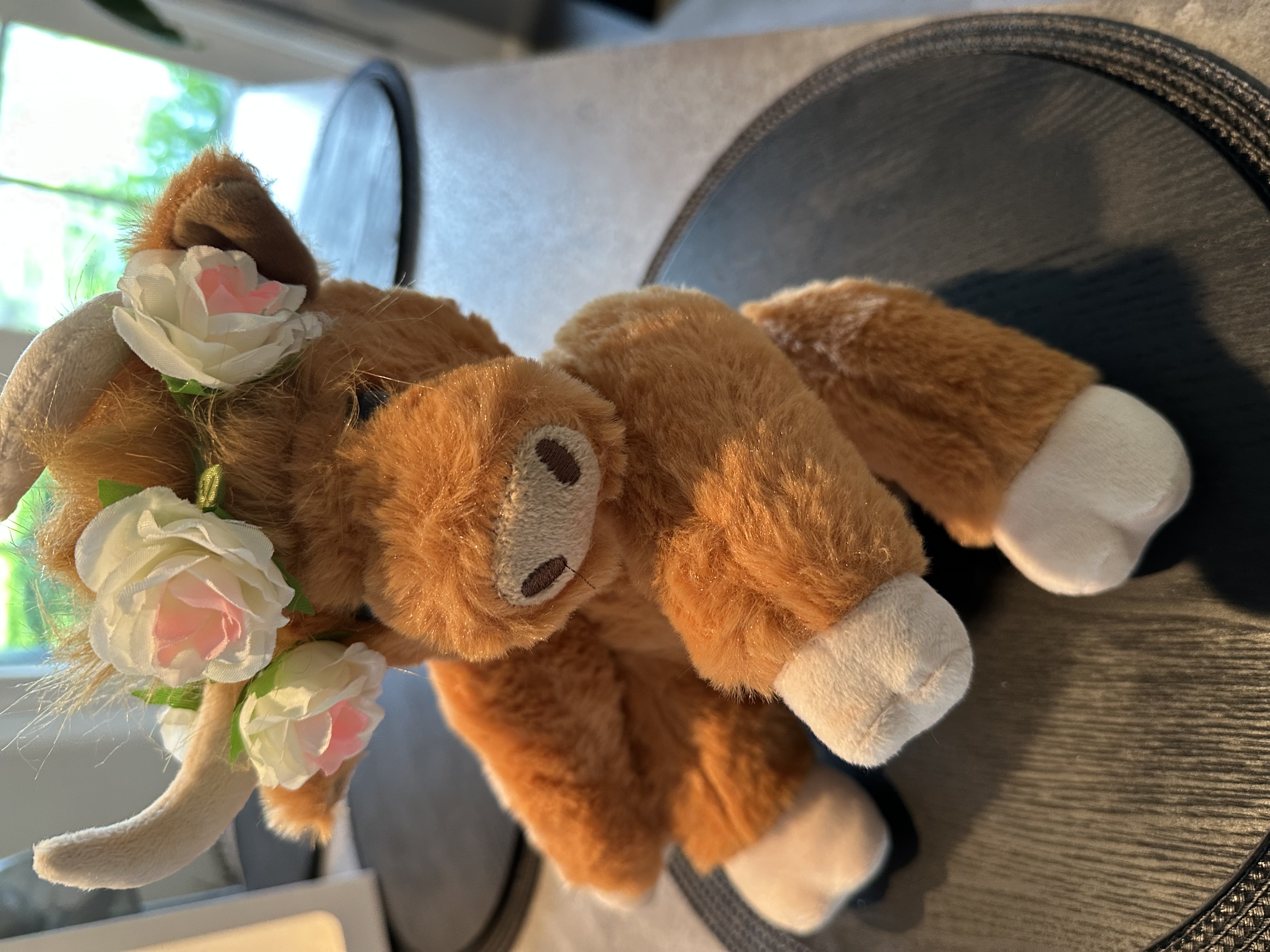 Country Chaos Stuffed Animals 
