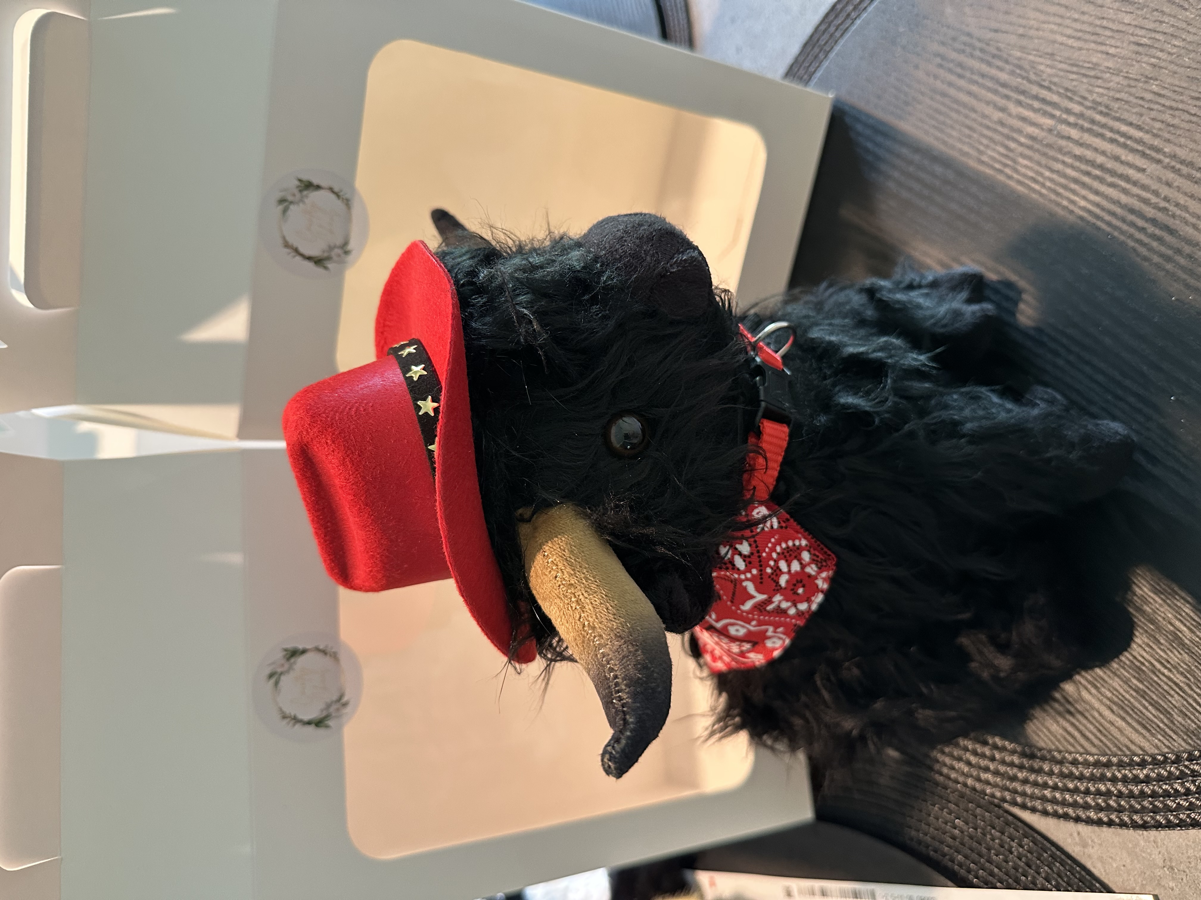 Country Chaos Kids Stuffed Animal 