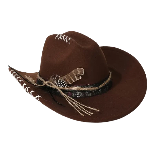 Brown Premium Cowboy Hat