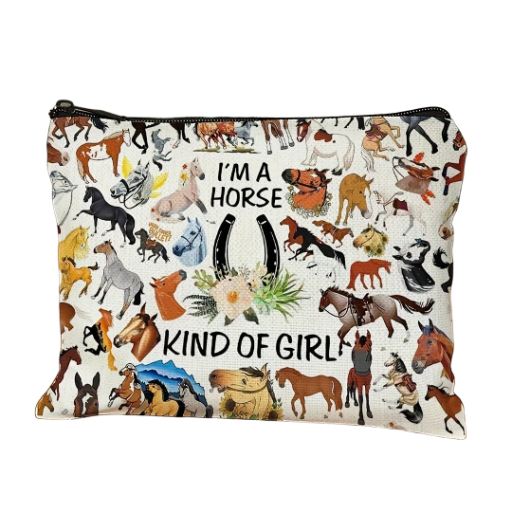  Makeup / Travel / stationary Bag 