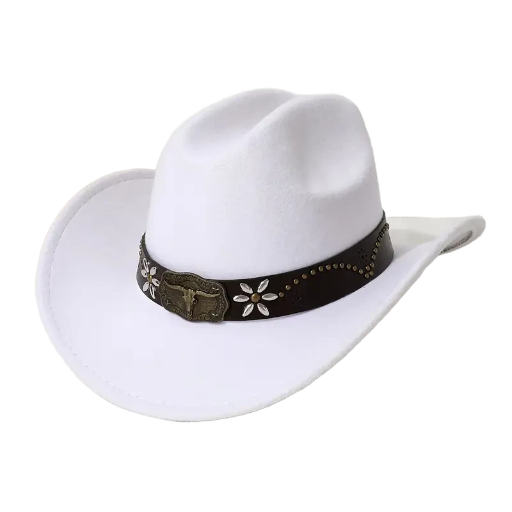 Classic Western Cowboy Hats