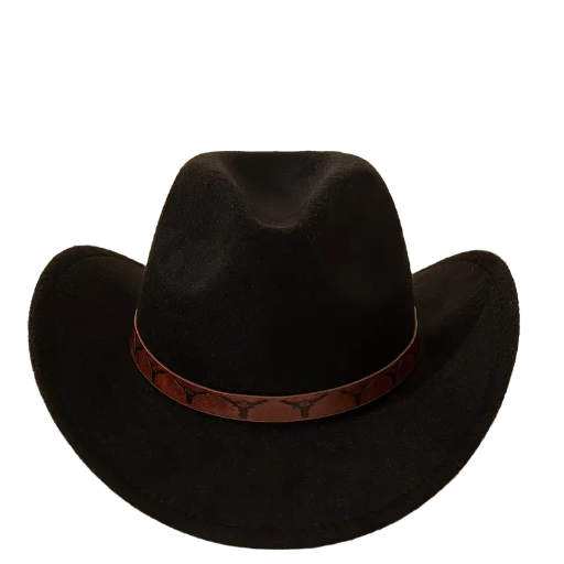 Classic Black Cowboy Hat With Brown Bull Band 