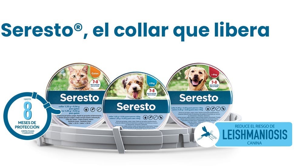 Seresto® Gatos