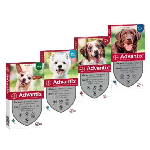 Advantix Pipeta Perro Pack 4 Unidades