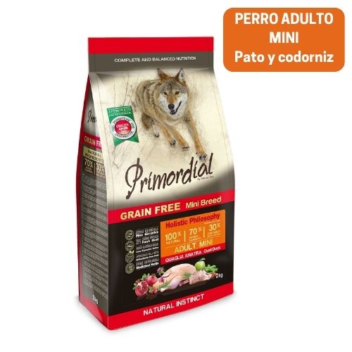 Primordial Mini Pato Codorniz