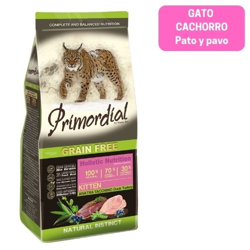 Primordial Kitten Pato Pavo GATO