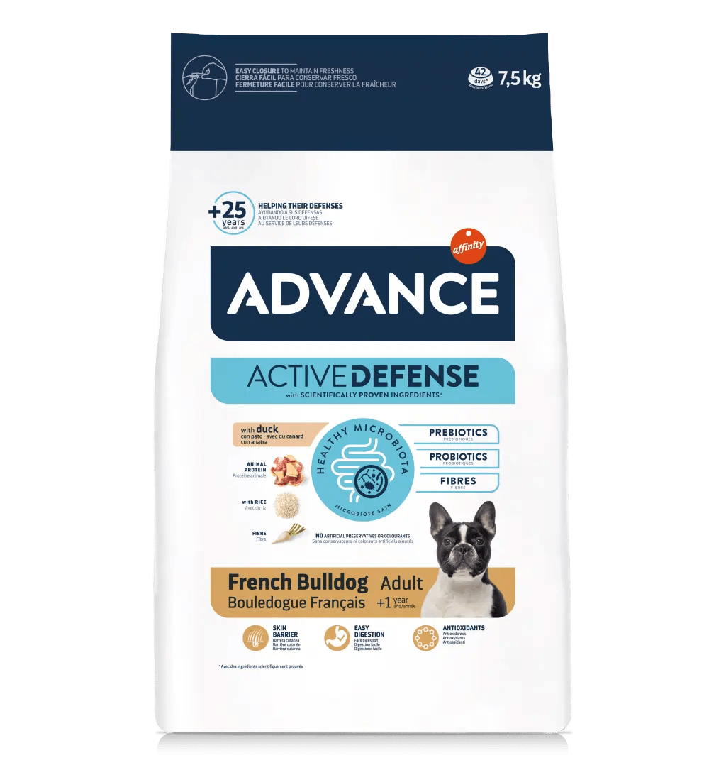 Advance French Bulldog
