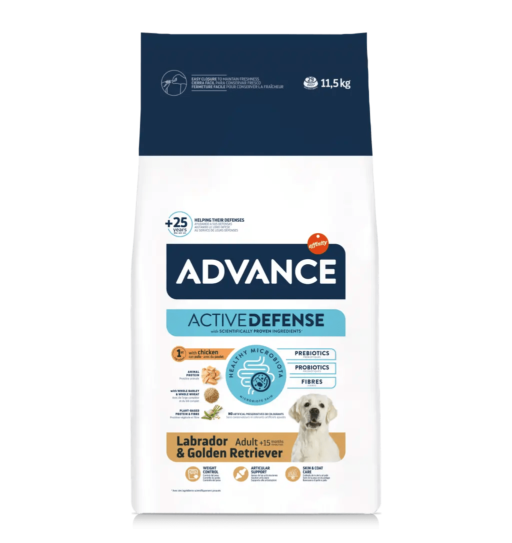 Advance Labrador & Golden Retriever