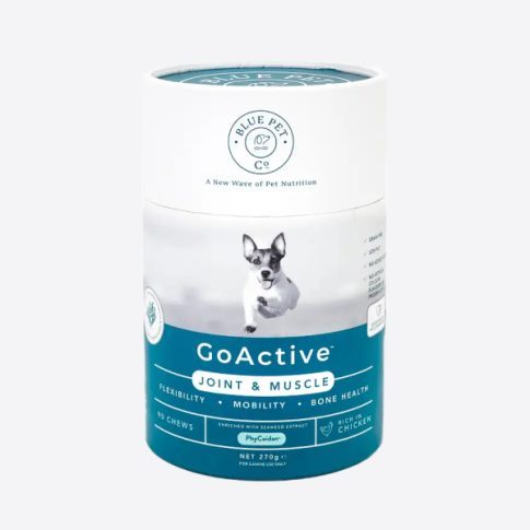 GoActive Chicken sąnariams ir raumenims kramtukai šunims