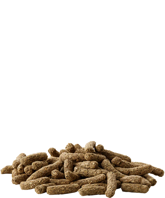 Cavia complete granuliuotas pašaras jūrų kiaulytėms 500g