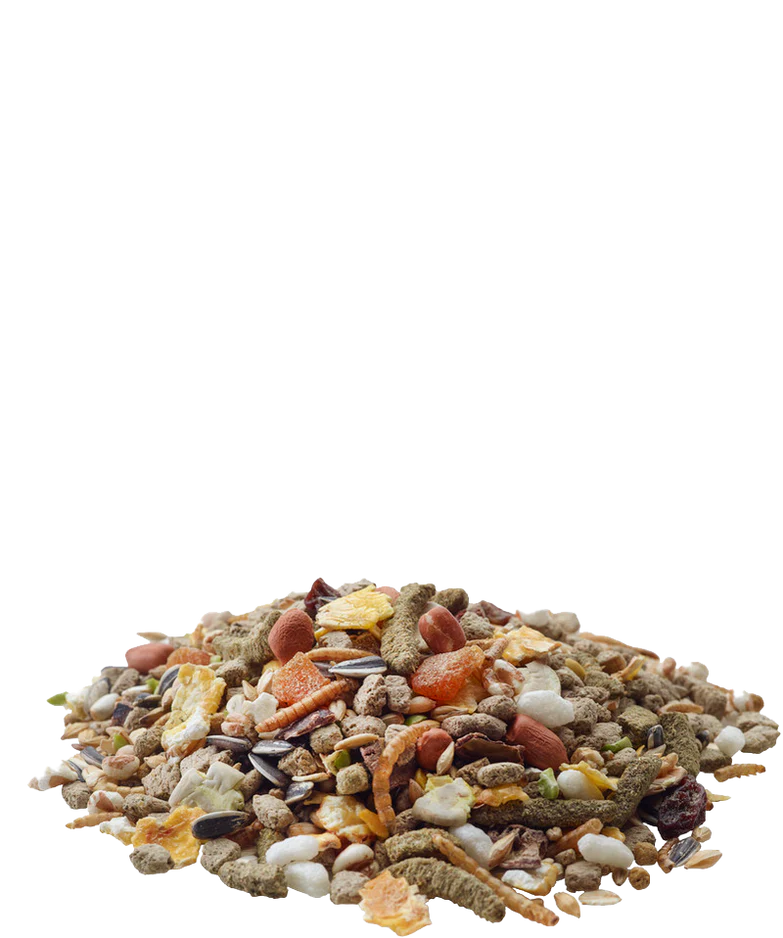 Nature hamster pašaras žiurkėnams 700g
