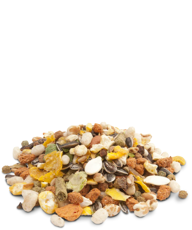 Crispy hamsters &co pašaras žiurkėnams ir kitiems smulkiems graužikams 400g