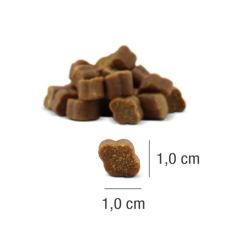 Platinum Fit-Bits Protect - skanėstai šunims su vištiena