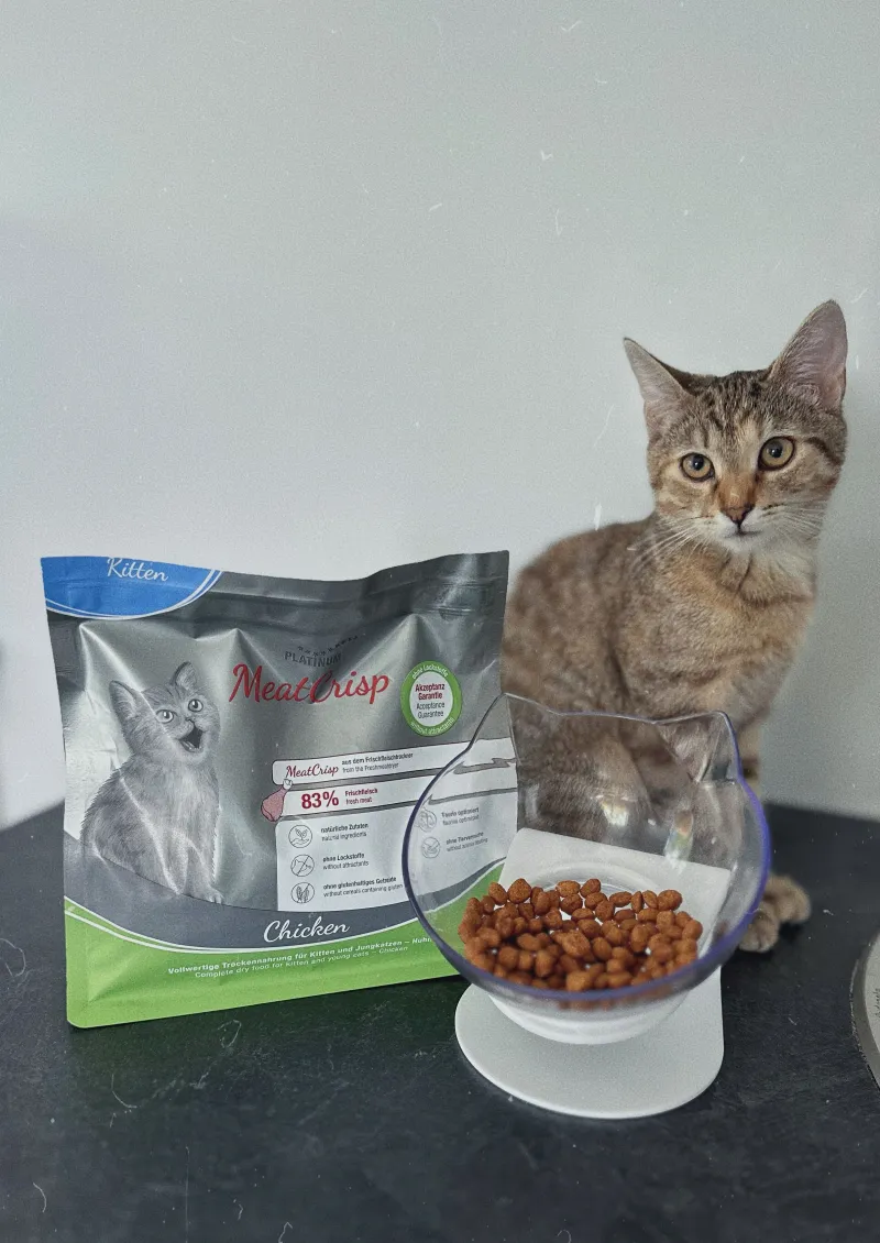 Platinum MeatCrisp Chicken subalansuotas visavertis sausas pašaras kačiukams