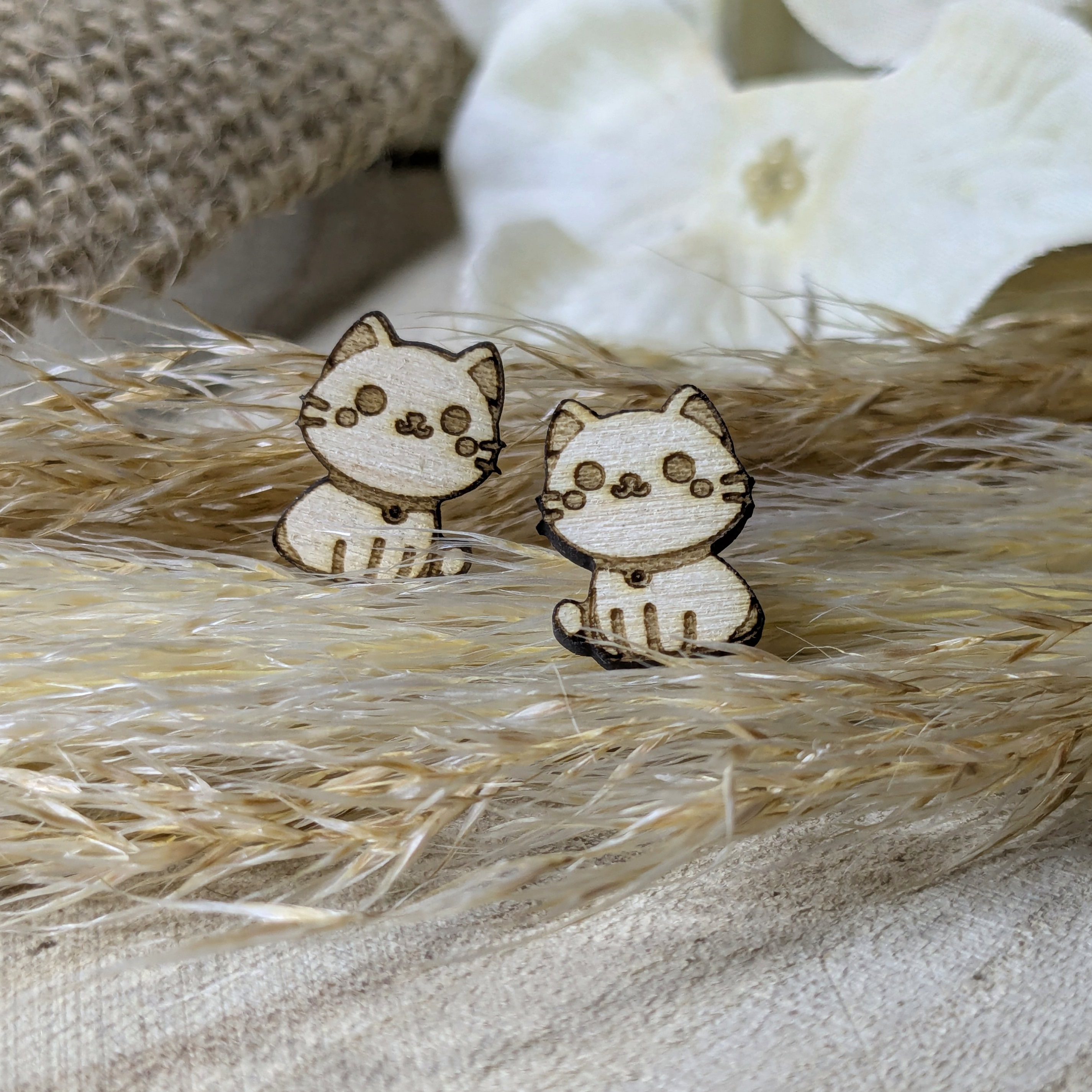 Puces d’Oreilles Chats Assis