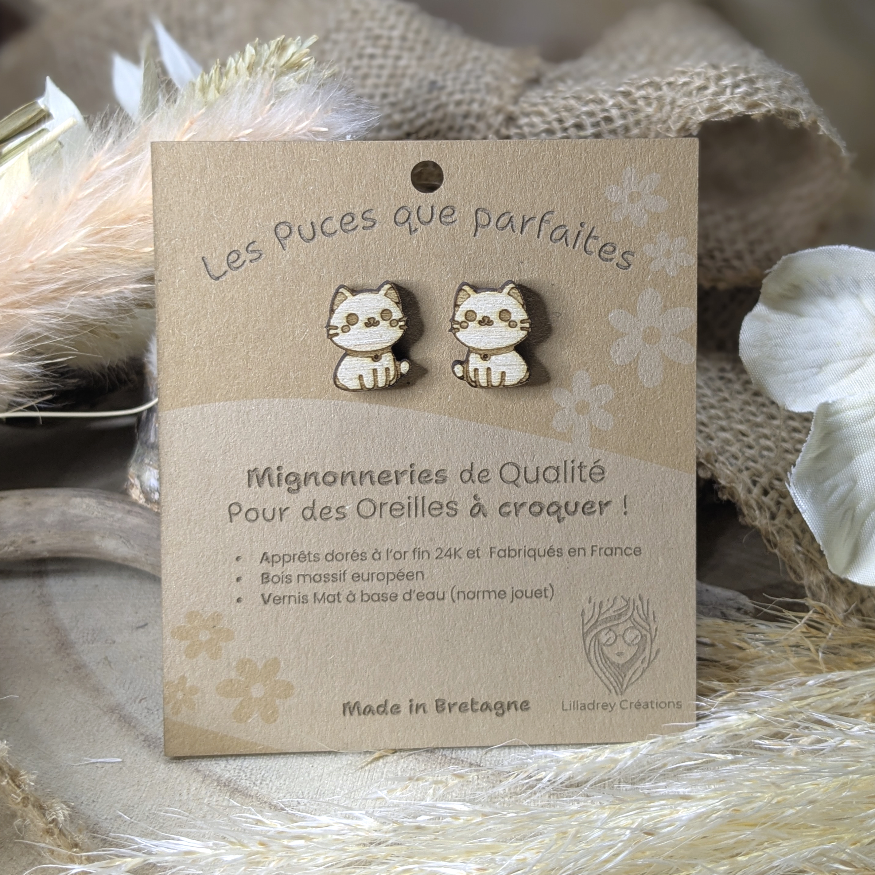 Puces d’Oreilles Chats Assis