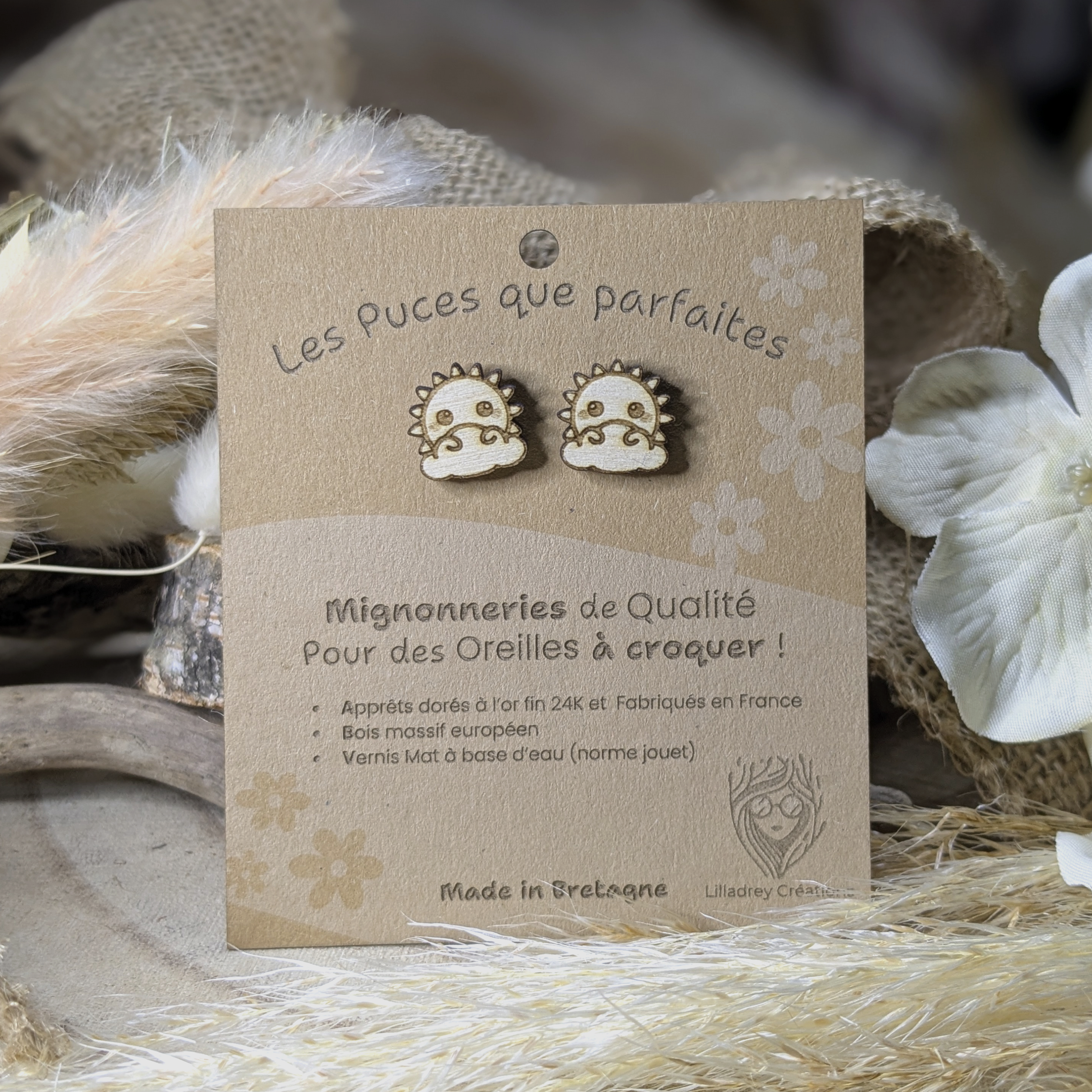 Puces d’Oreilles Soleil Timide