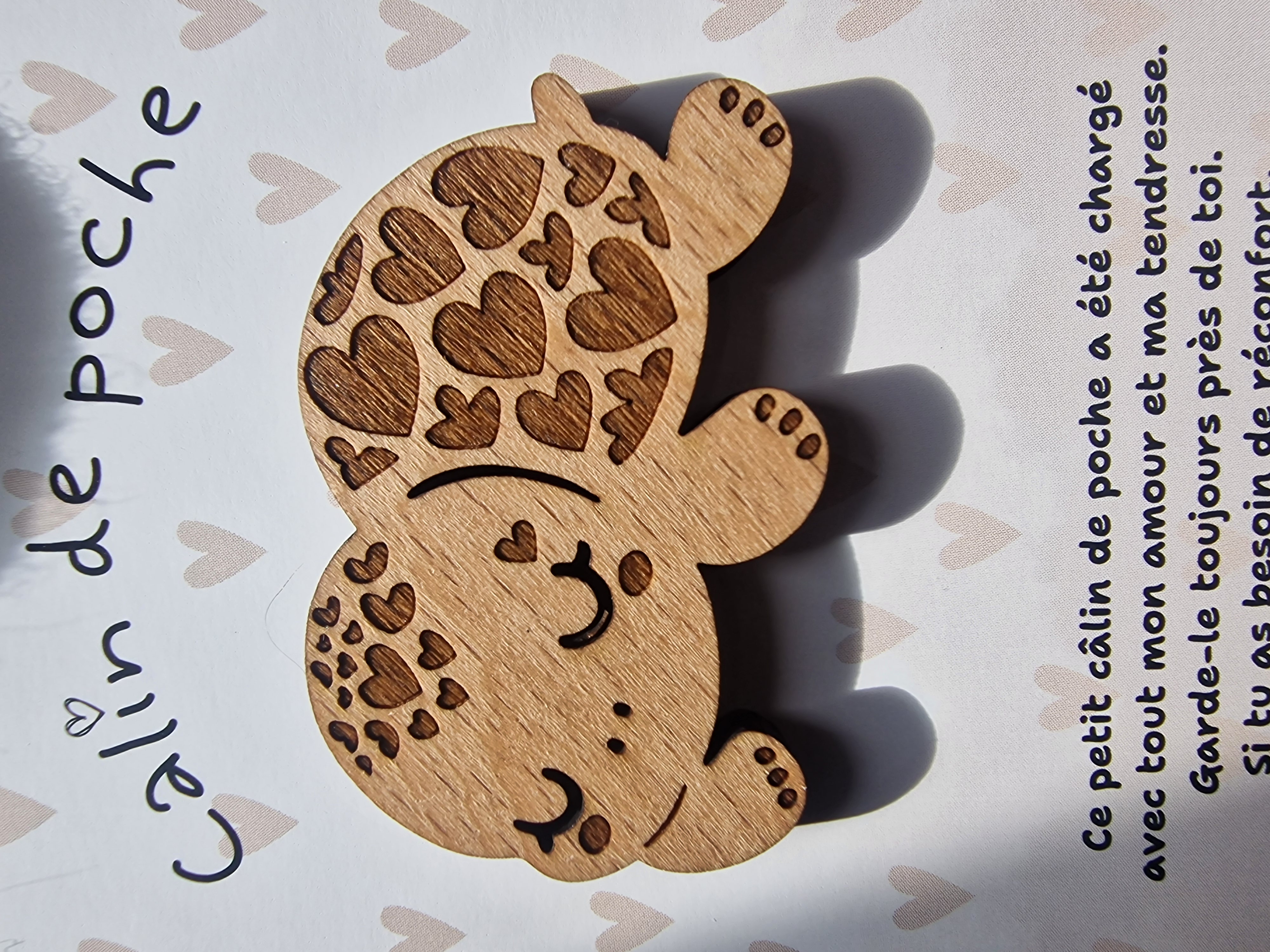 Câlin de Poche Tortue