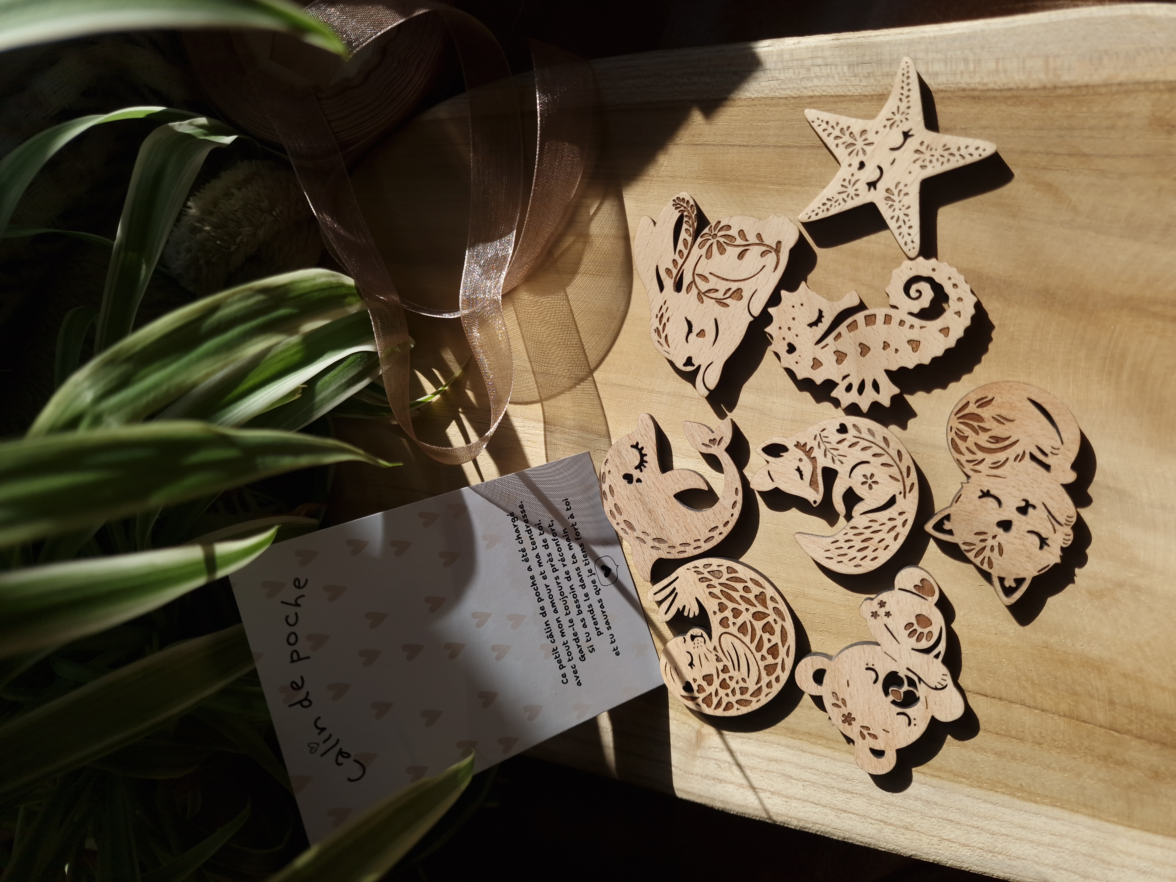 Câlin de Poche Ourson