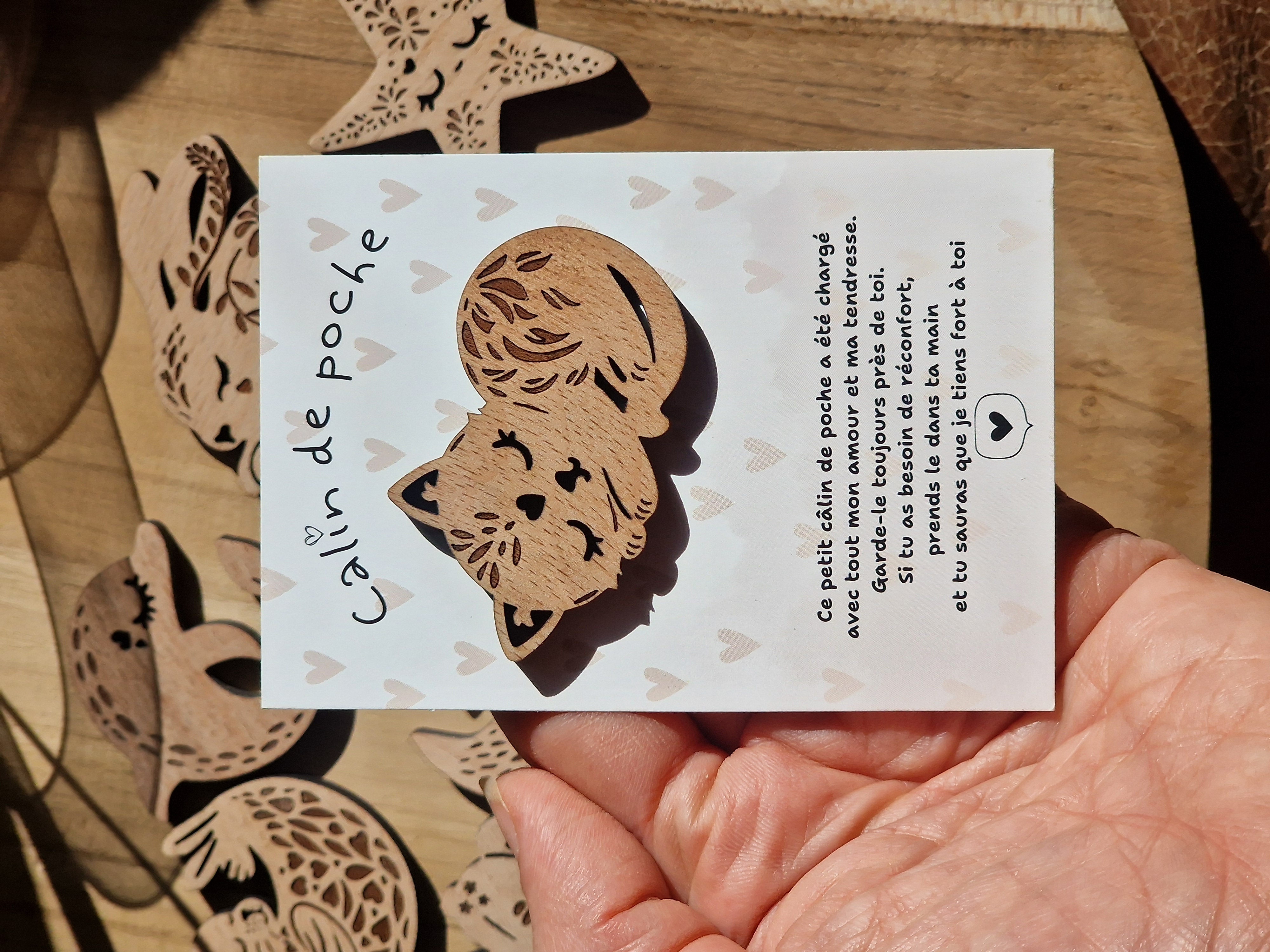 Câlin de Poche Chat