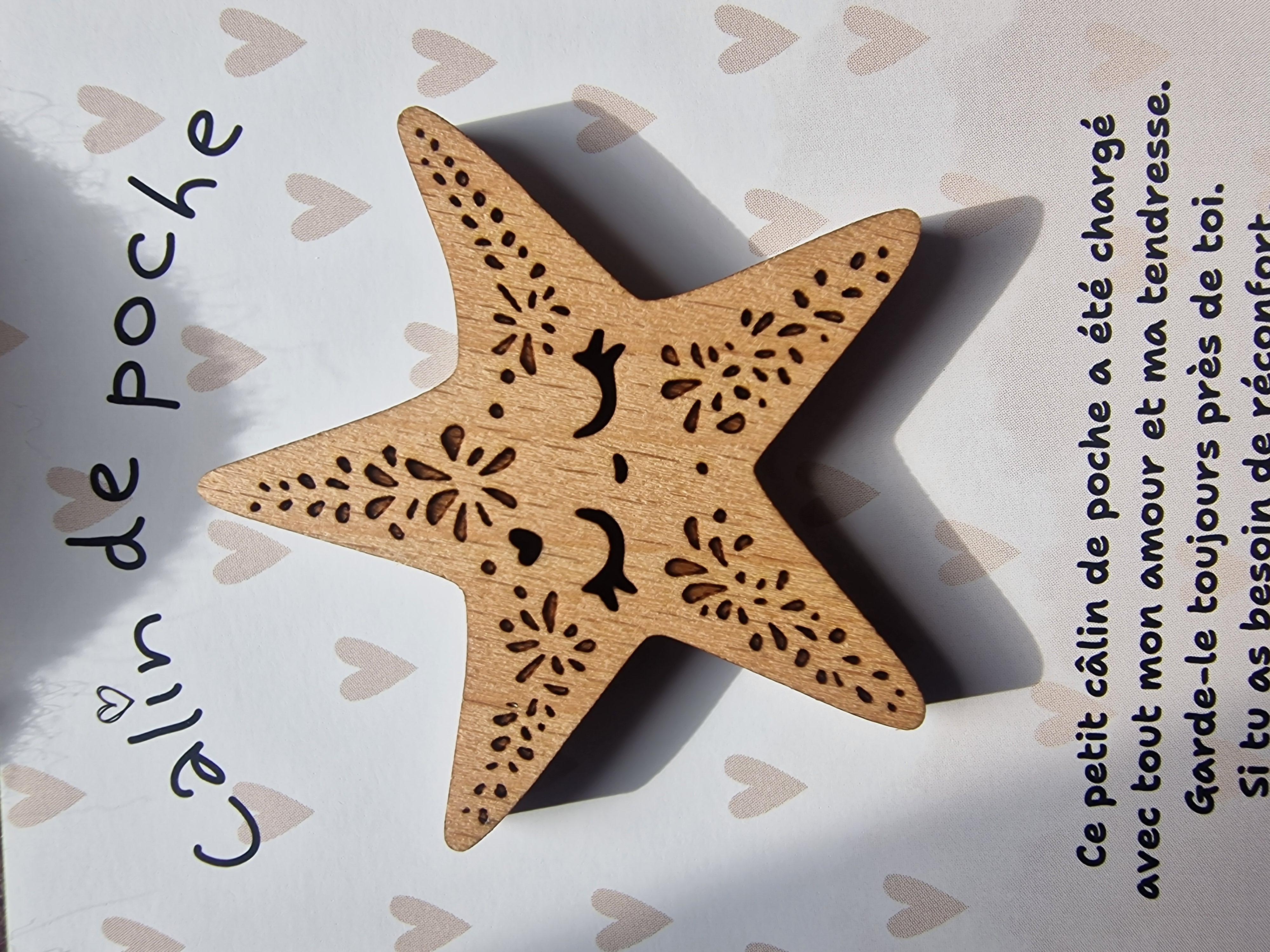 Câlin de Poche Étoile de Mer