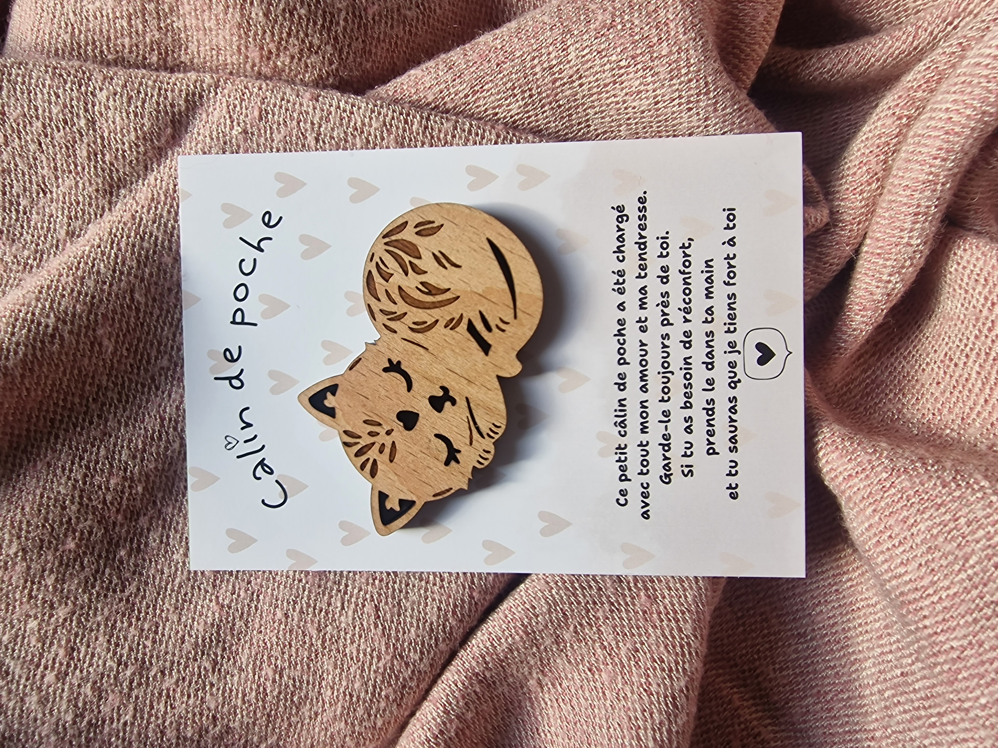 Câlin de Poche Chat