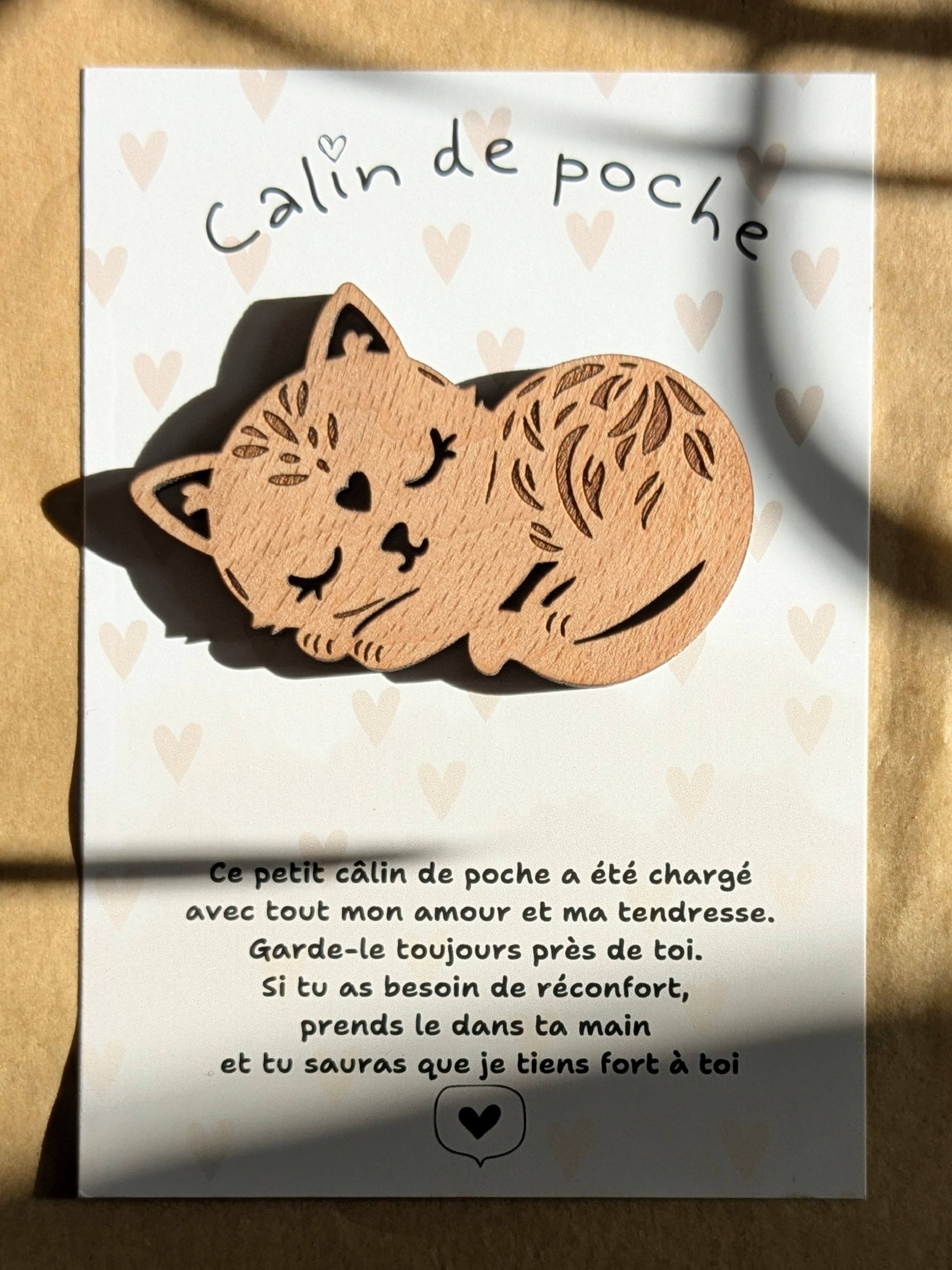 Câlin de Poche Chat