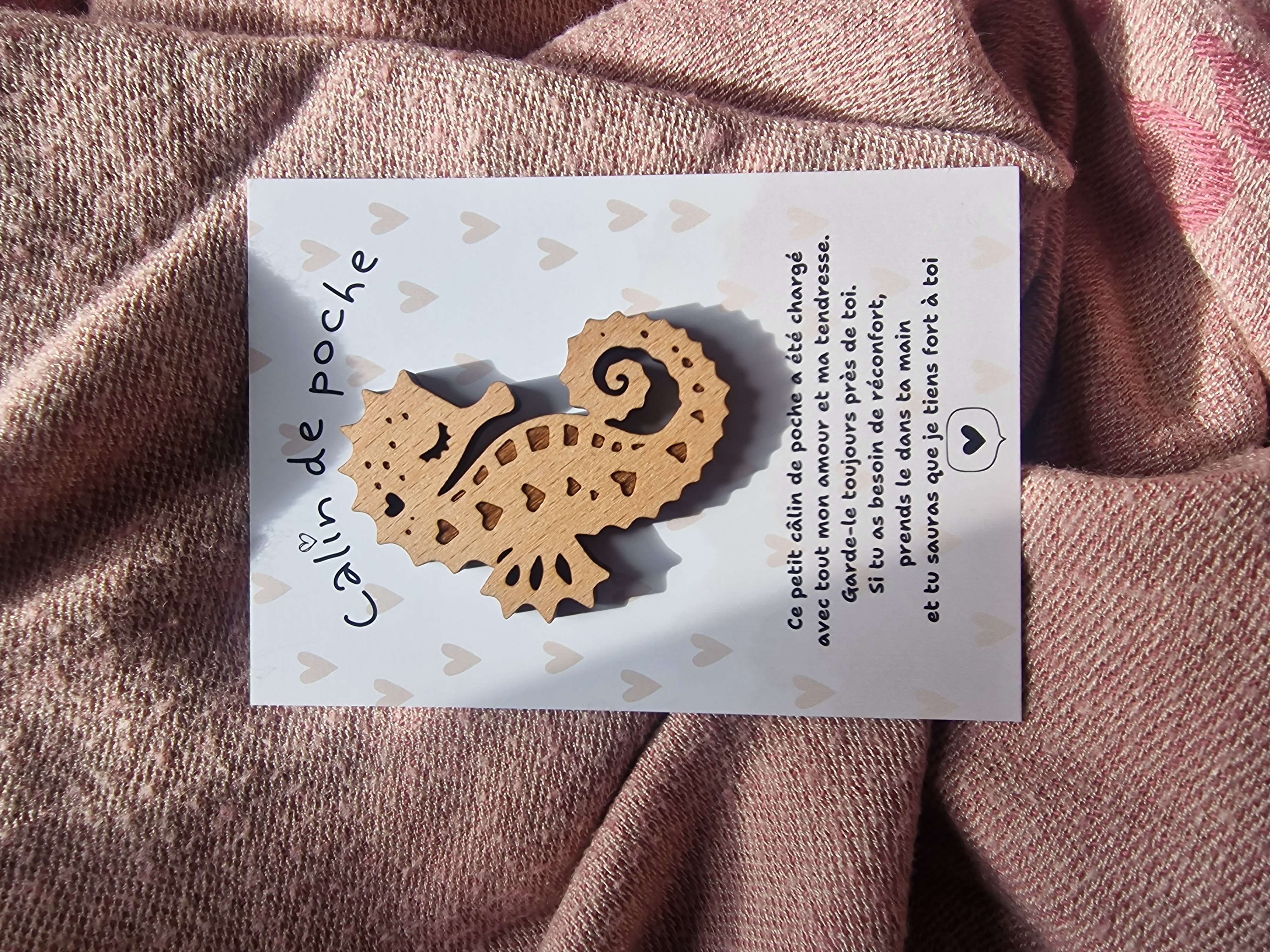 Câlin de Poche Hippocampe