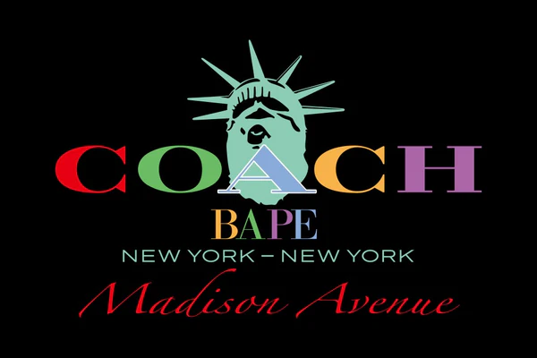 Bape x Coach Madison Ave Store Exclusive Pullover Hoodie