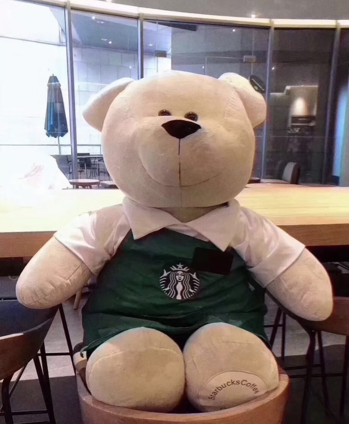 Starbucks Barista Teddy Bear Plush - 3' x 17"