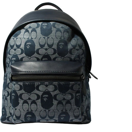 A Bathing Ape x Coach Messenger Backpack