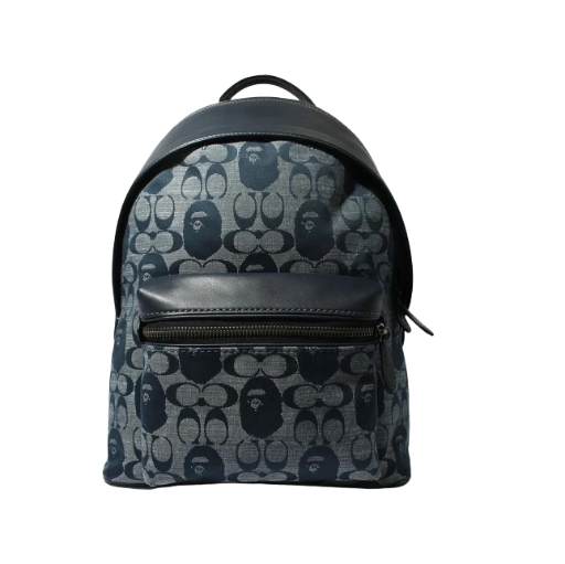 A Bathing Ape x Coach Messenger Backpack