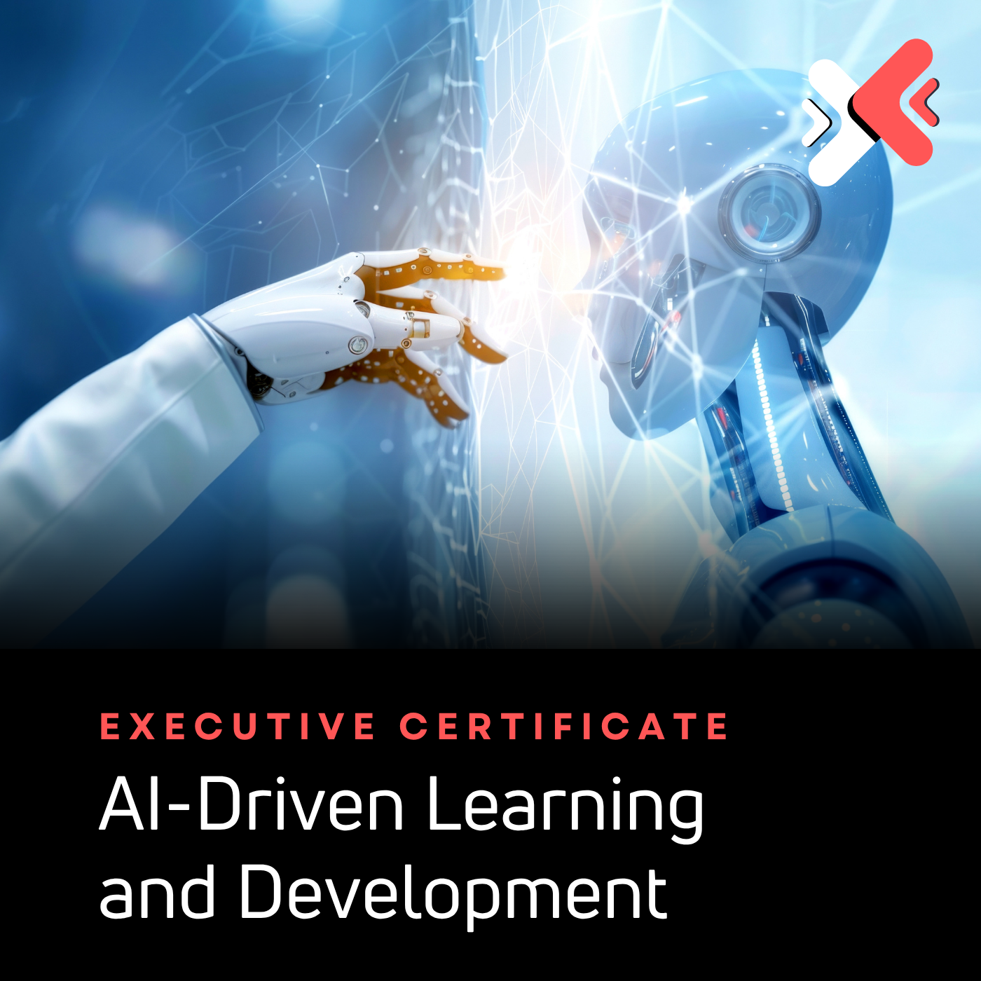 Executive Certificate in AI-Driven Learning and Development (ECL&D-AI)