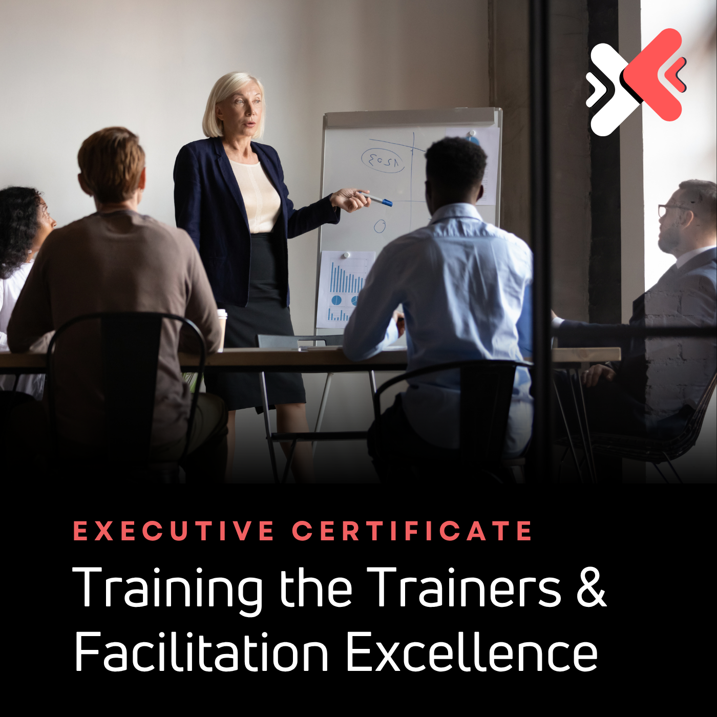 Executive Certificate in Training the Trainers and Facilitation Excellence (ECT3FX)