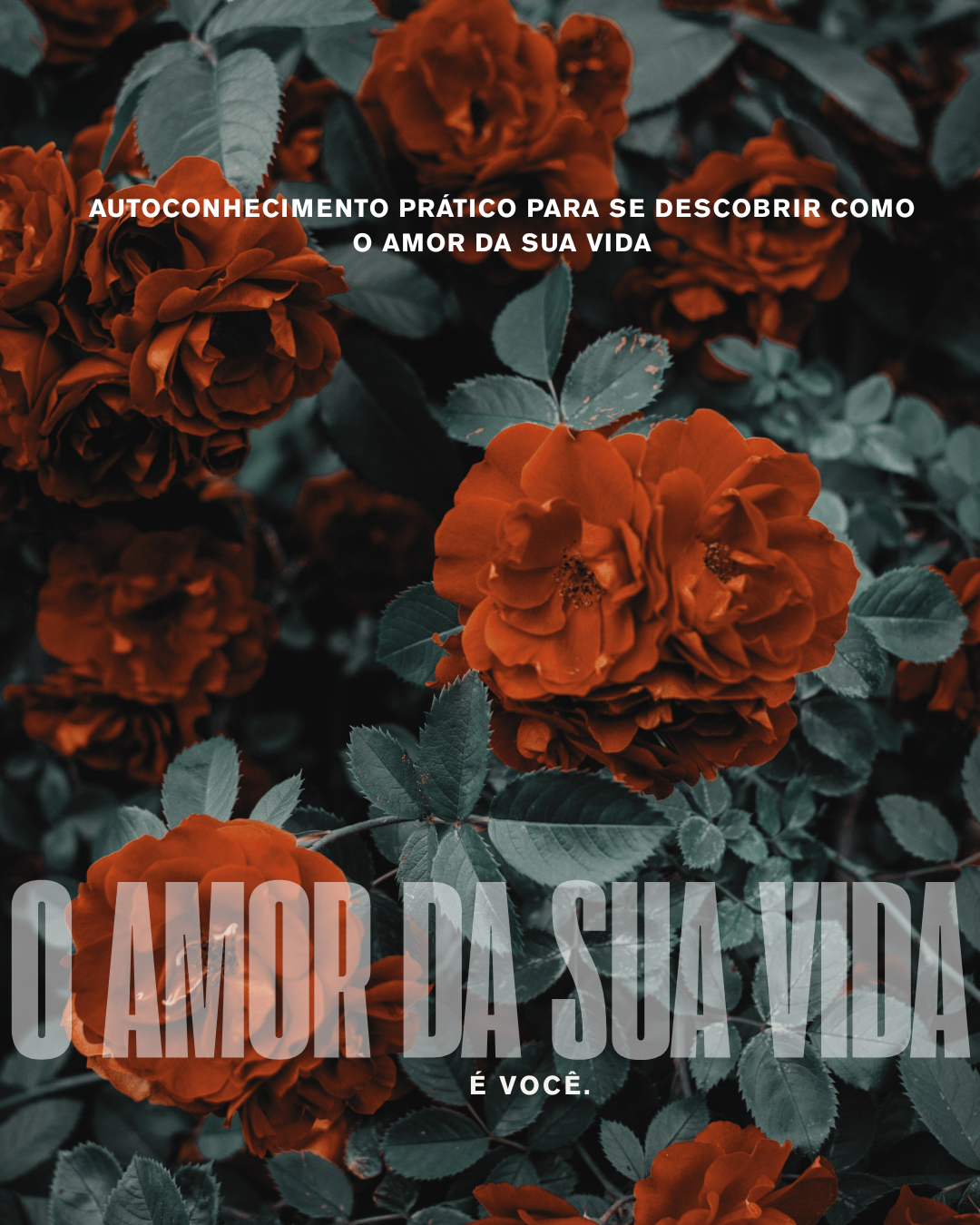 O Amor da Sua Vida é você