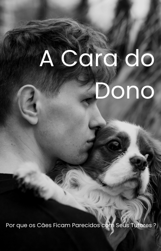 A Cara do Dono