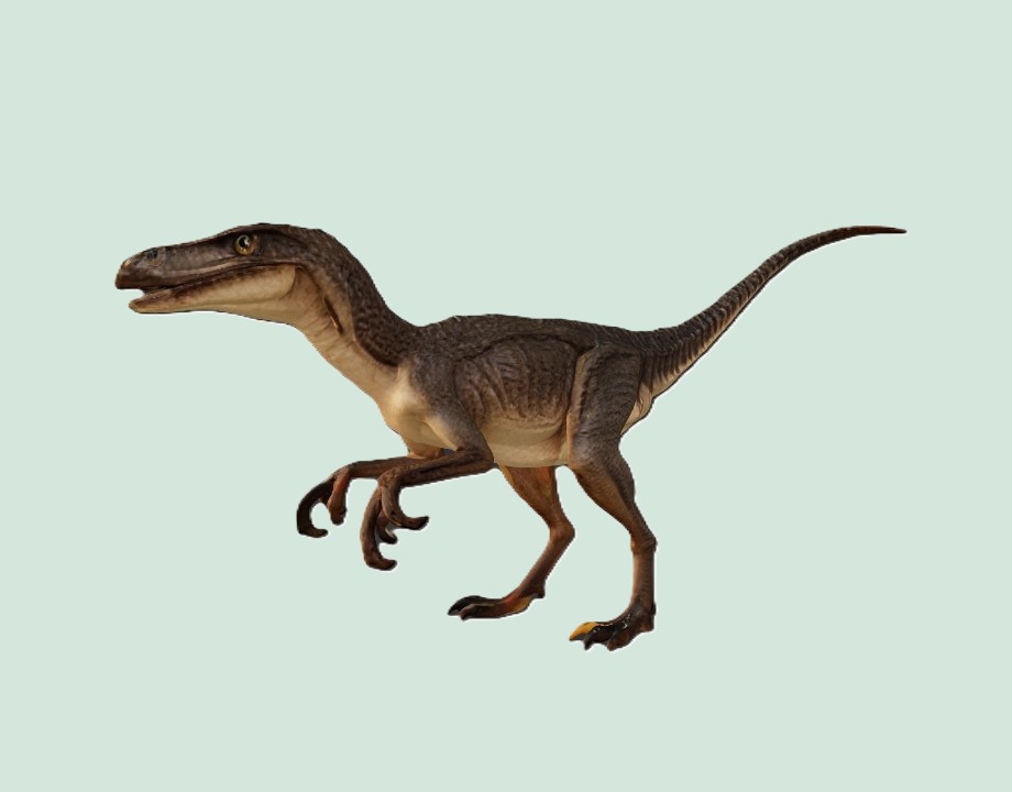 Velociraptor Dinosaur Figurine