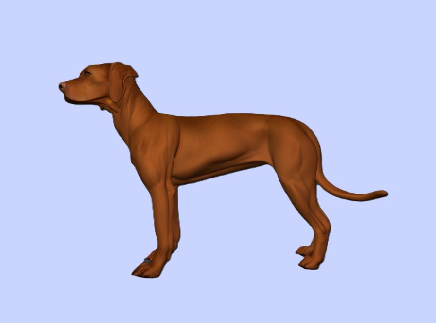 Rhodesian Ridgeback Dog Figurine