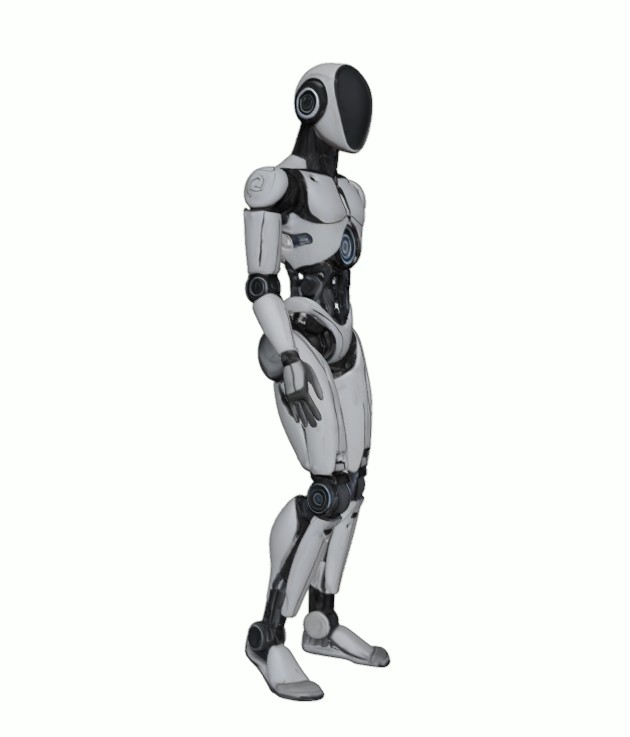 Advanced Humanoid Robot