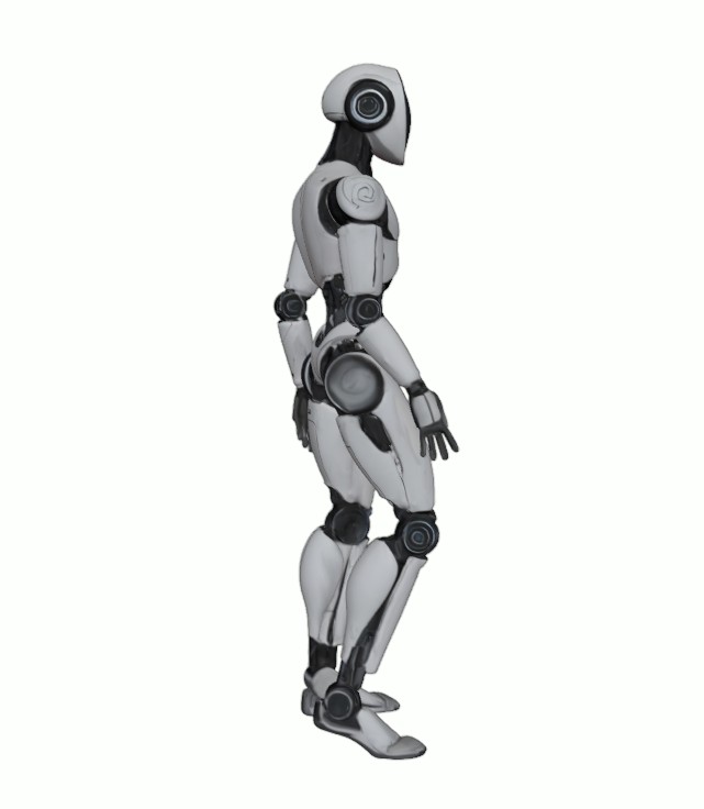Advanced Humanoid Robot