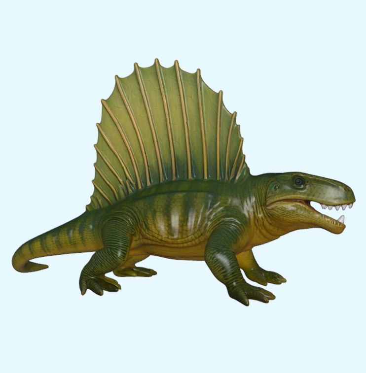 Dimetrodon