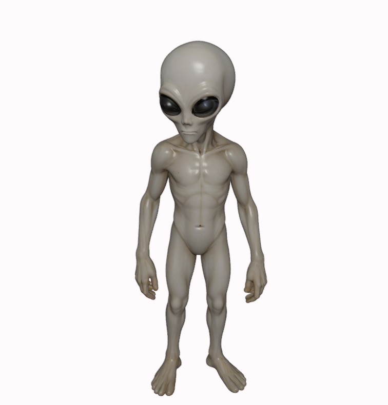 Gray Visitor from Zeta Reticuli