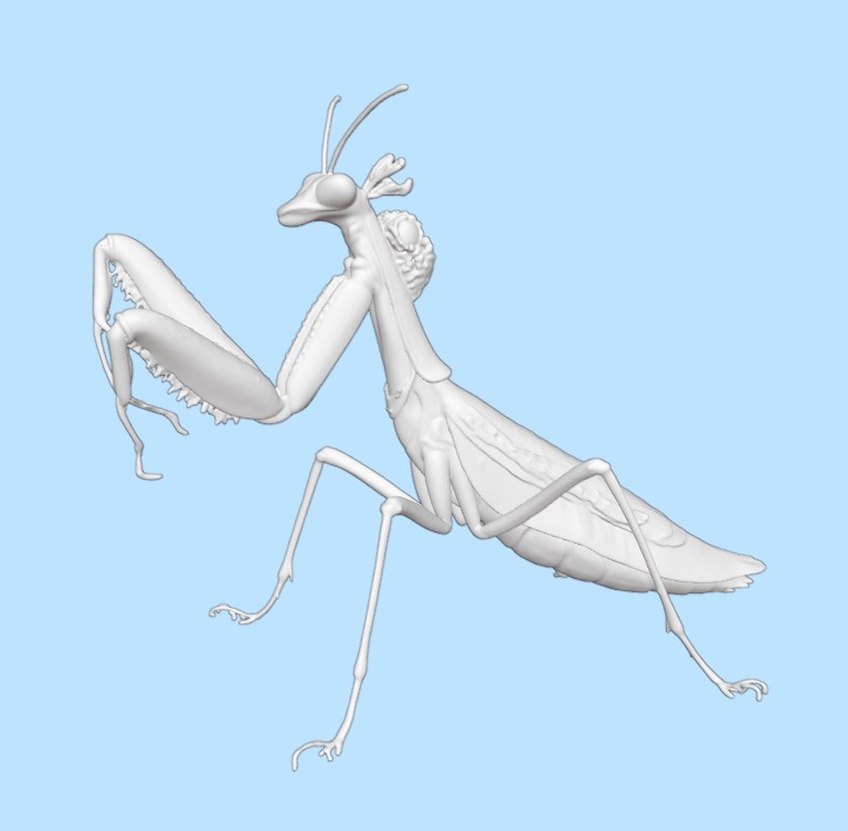 Praying Mantis Ambassador