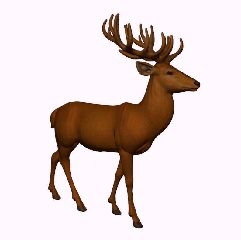 Majestic Forest Deer