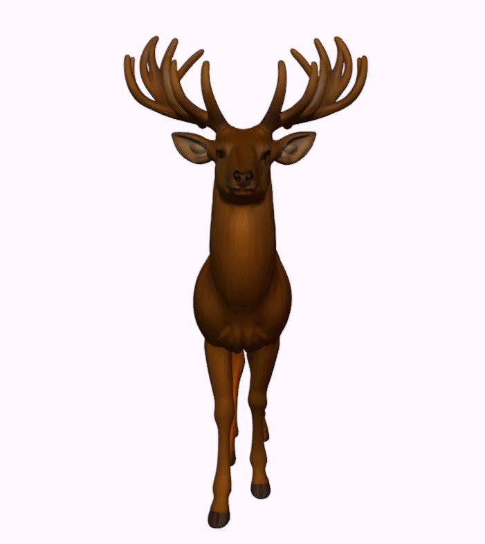 Majestic Forest Deer