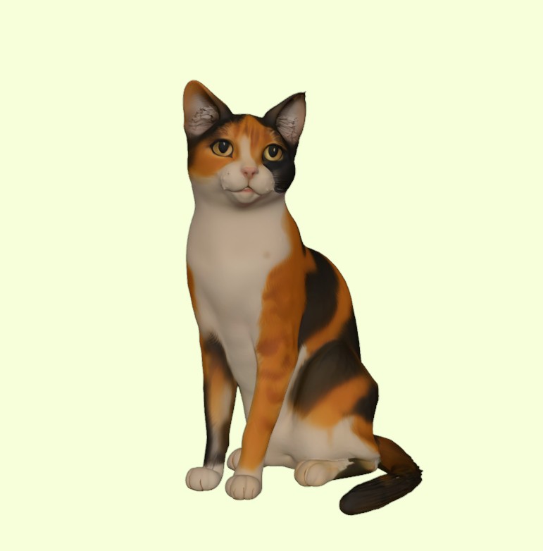 Calico Cat Sitting