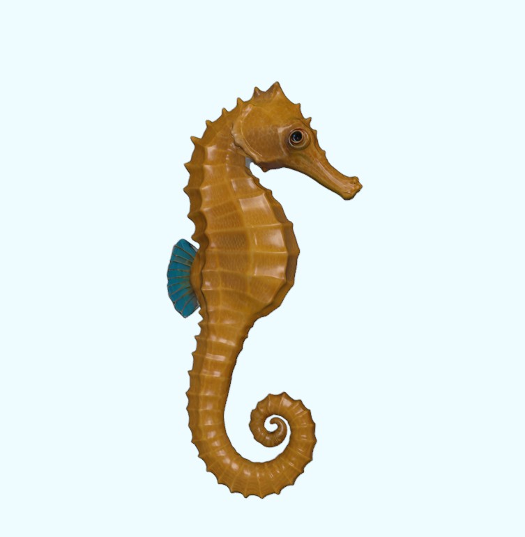 Seahorse